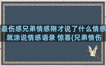 最伤感兄弟情感刚才说了什么情感就涂说情感语录 惊喜(兄弟情伤感文案)